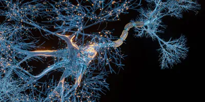 3D rendered image of Neuron cell close-up view