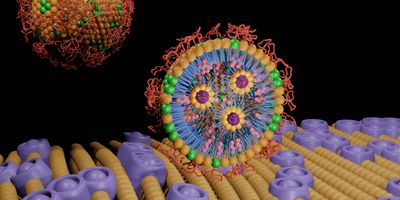 3D rendering of polyethylene glycol-lipid conjugates which have been used in bioconjugation on the lipid bilayer membrane  