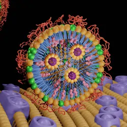 3D rendering of polyethylene glycol-lipid conjugates which have been used in bioconjugation on the lipid bilayer membrane  