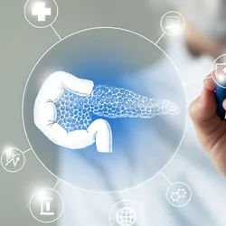 Unrecognizable clinician points to a graphic virtual visualization model of Pancreas organ surrounded with multiple virtual medical icons.