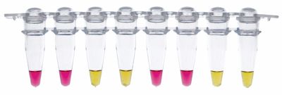Alternating plastic micro tubes of pink and yellow liquid on a white backround.
