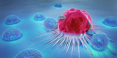 3D illustration of a cancer cell and lymphocytes