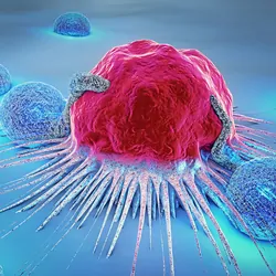 3D illustration of a cancer cell and lymphocytes