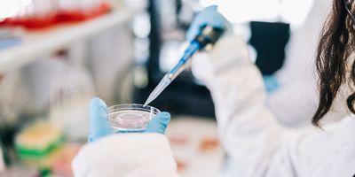 A researcher with gloved hands pipettes liquid contents into a clean Petriplate.