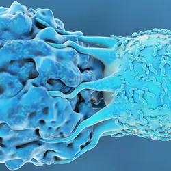 T-Cell Attacks Cancer Cell