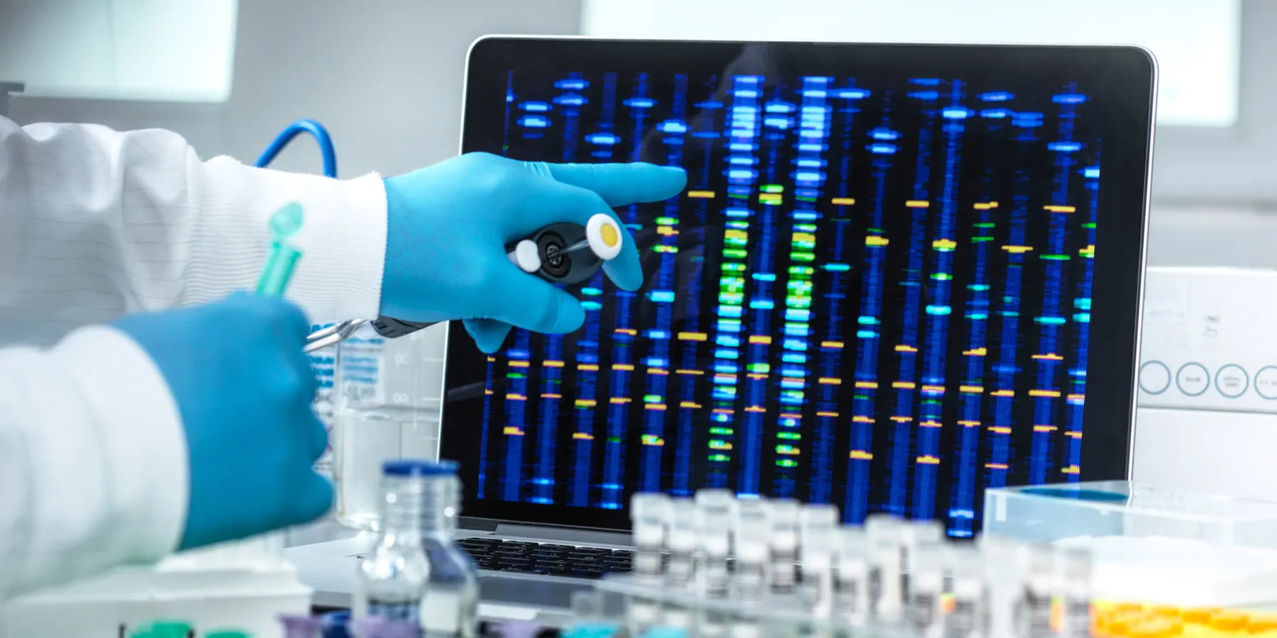 A researcher points to glowing DNA electrophoresis results from samples in the lab.