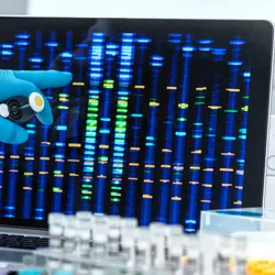 A researcher points to glowing DNA electrophoresis results from samples in the lab.