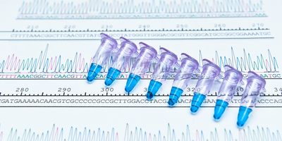 PCR tubes placed by DNA analysis chromatogram with peaks and base counts.