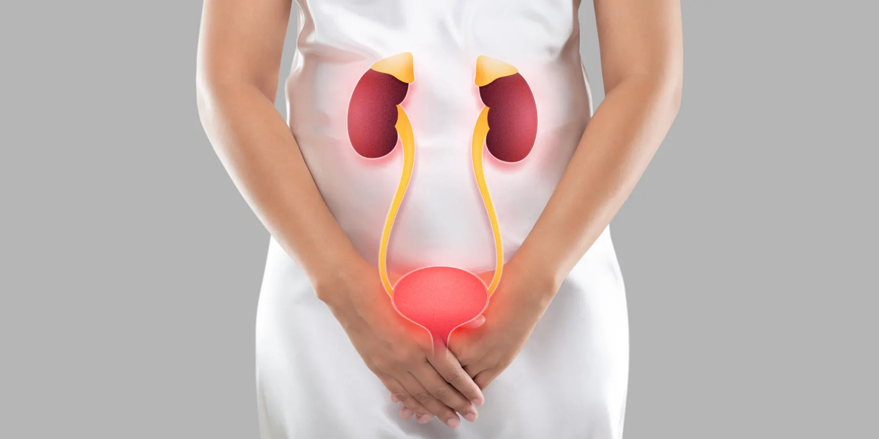 Illustration of the bladder and kidneys on the woman's body. 