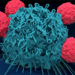 3D render of T cells attacking a cancer cell