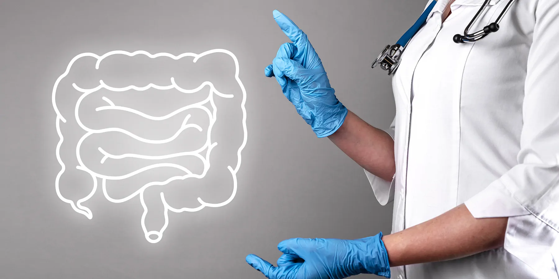 Gloved hands point to a vector illustration of human intestines.