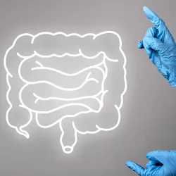 Gloved hands point to a vector illustration of human intestines.