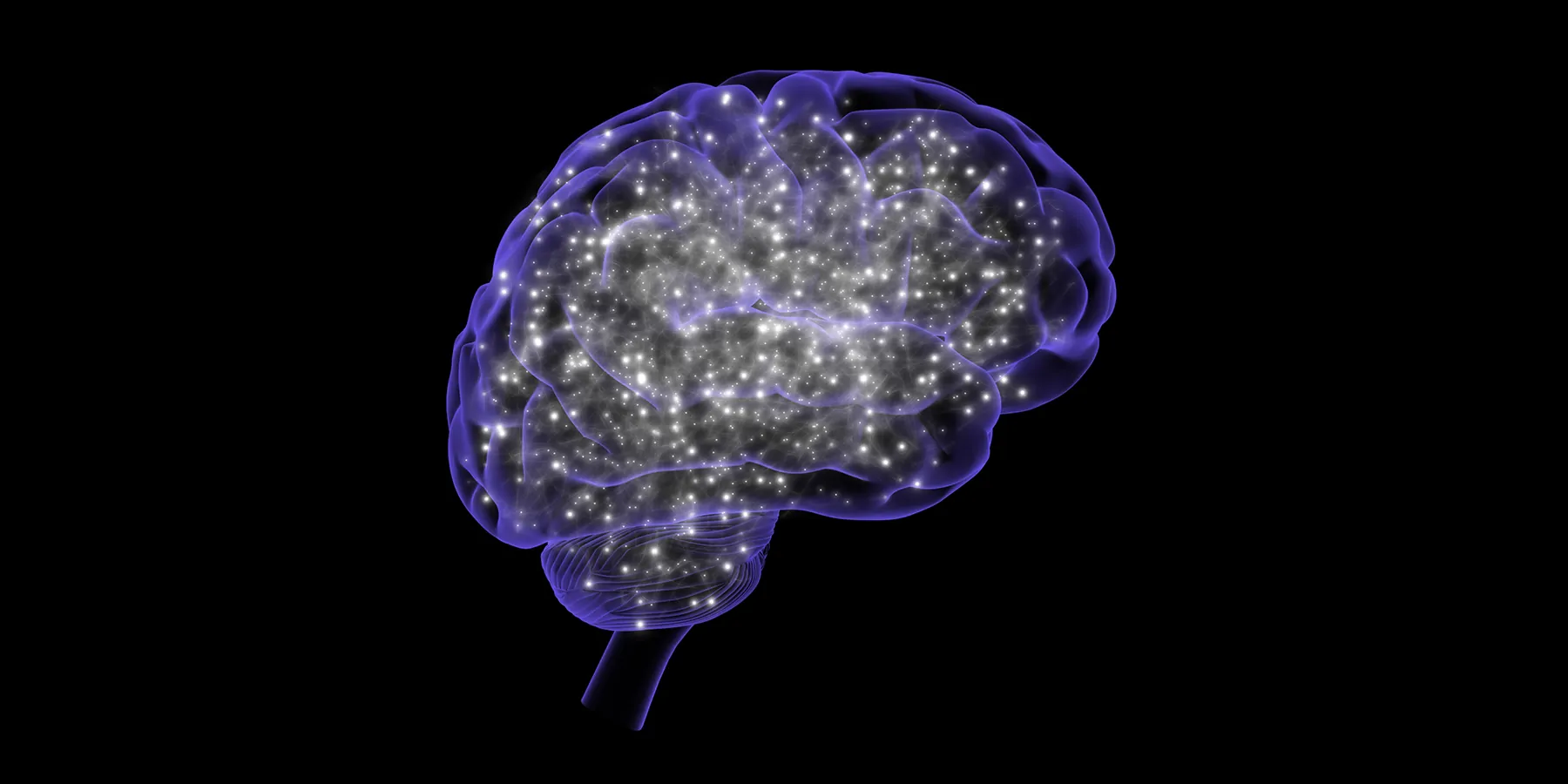 3D illustration of a human brain outline filled with lit-up pathways and neurons.