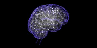 3D illustration of a human brain outline filled with lit-up pathways and neurons.