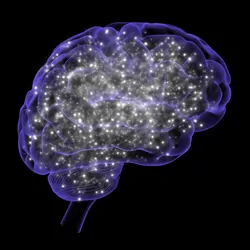 3D illustration of a human brain outline filled with lit-up pathways and neurons.
