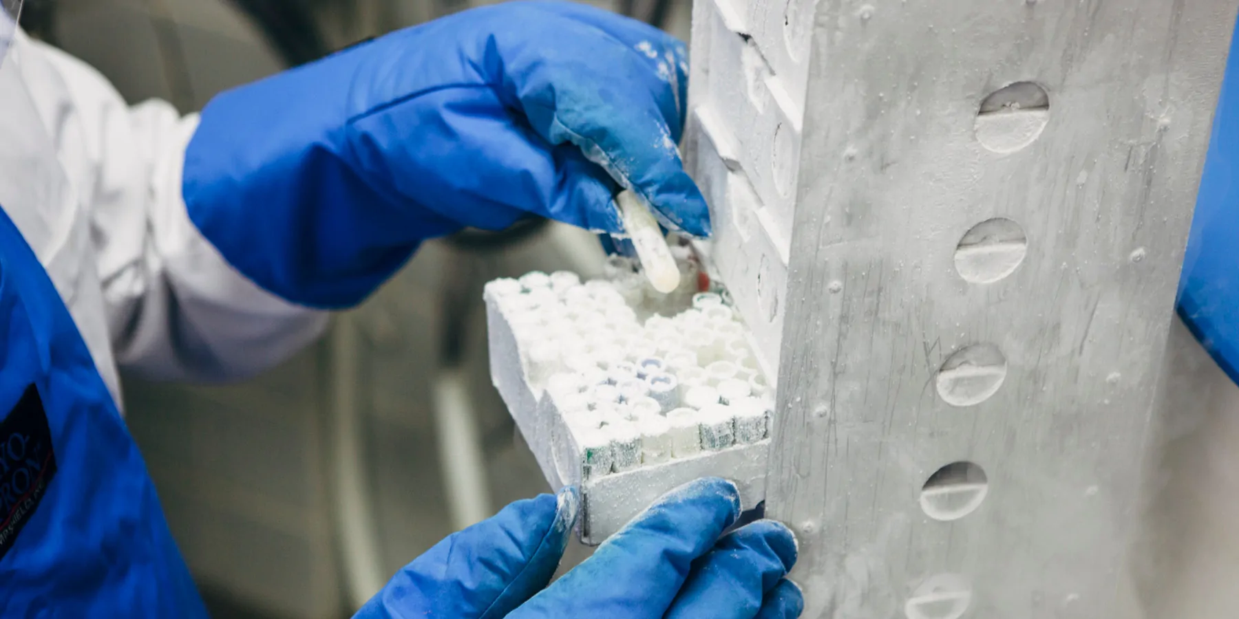 Laboratory worker with blue thermal gloves, a white lab coat and blue apron takes a clear sample tube out of a freezer box 