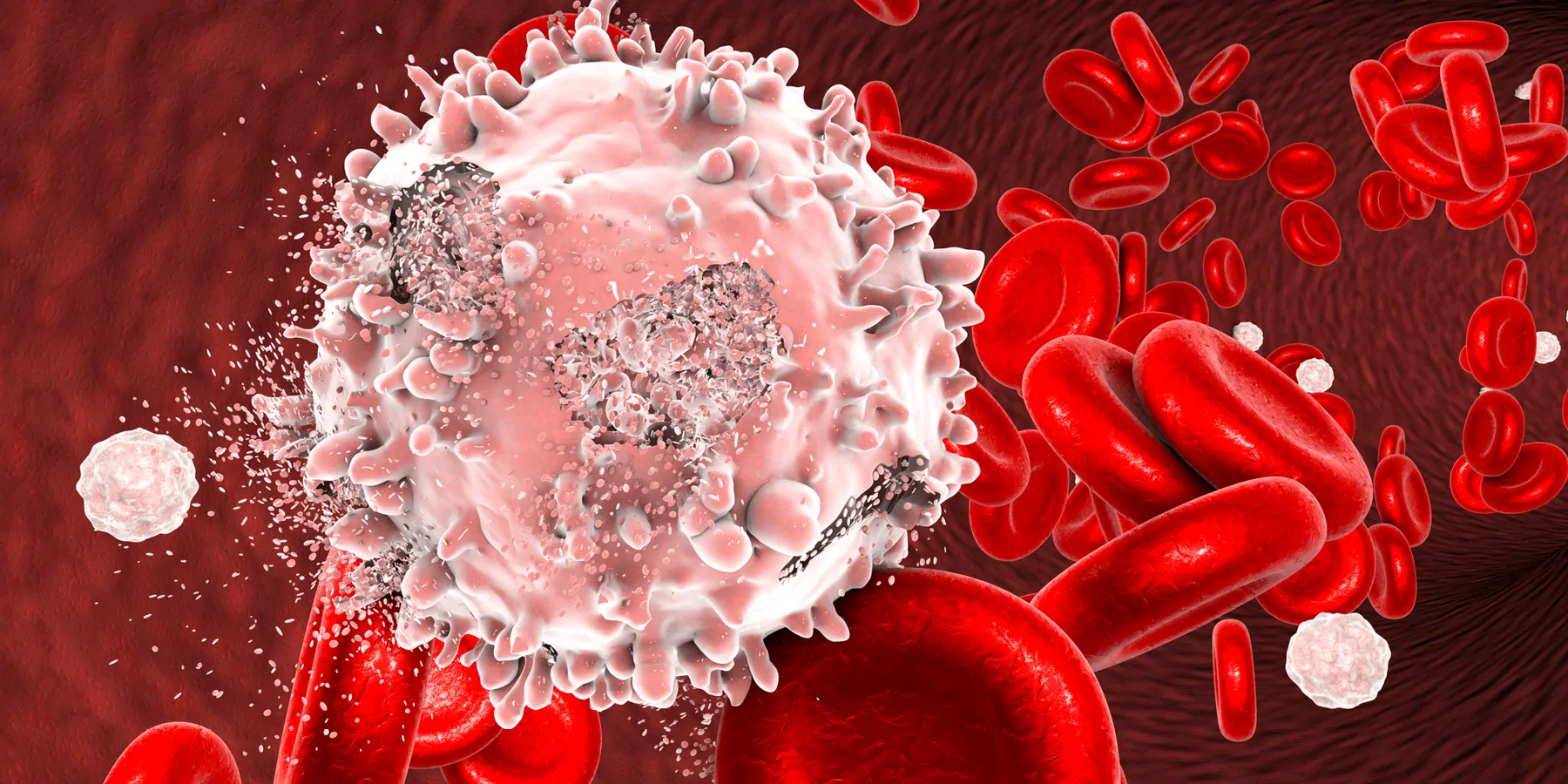 Epigenetic Changes as Blood Cancer Therapeutic Targets 3D illustration of the destruction of leukemia cells in a blood vessel with red blood cells in the background.