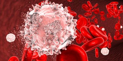 3D illustration of the destruction of leukemia cells in a blood vessel with red blood cells in the background.
