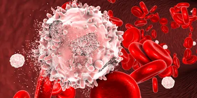 3D illustration of the destruction of leukemia cells in a blood vessel with red blood cells in the background.