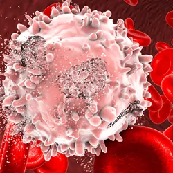 3D illustration of the destruction of leukemia cells in a blood vessel with red blood cells in the background.