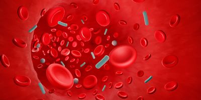 Illustration of a blood infection causing sepsis.