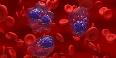 3D illustration of multiple myeloma cells cluster in the blood flow.