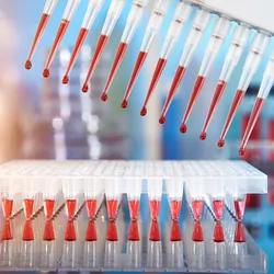 Multichannel pipette tips aspirate reaction mixture for PCR DNA amplification in plastic wells.