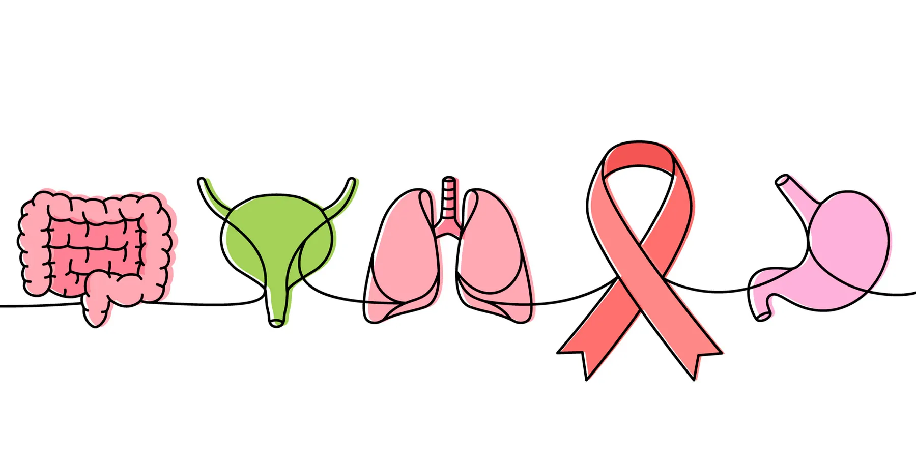 Bladder, lungs, stomach, heart, liver, kidneys along with a cancer awareness ribbon vector in a single line.