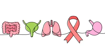 Bladder, lungs, stomach, heart, liver, kidneys along with a cancer awareness ribbon vector in a single line.