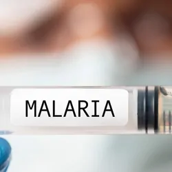 Gloved hands hold a syringe labeled Malaria to indicate a malaria vaccine.