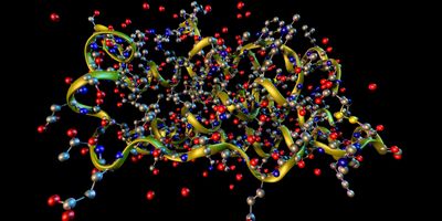 A ribbons and ball-and-stick model of a protein molecule's tertiary structure.