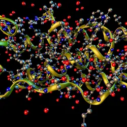 A ribbons and ball-and-stick model of a protein molecule's tertiary structure.