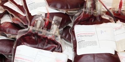 Unused, labeled blood bags in a pile.