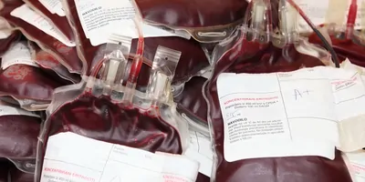 Unused, labeled blood bags in a pile.