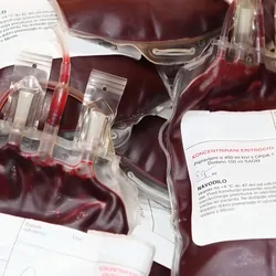 Unused, labeled blood bags in a pile.