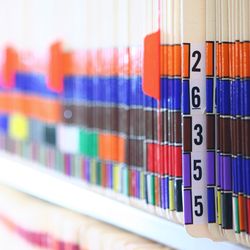 New FDA Regulations for Diversity and Inclusion in Clinical Trials for 2024