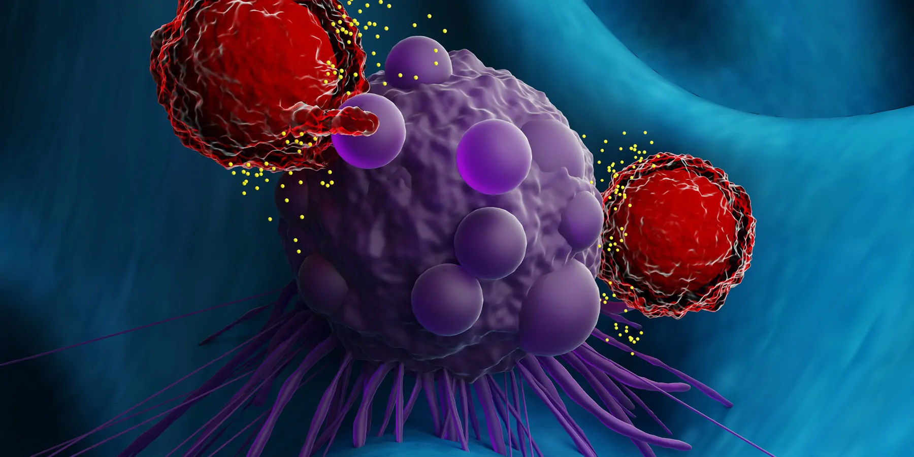 3D illustration of T cells attacking a cancer cell.