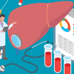 Vector illustration of clinician exploring liver testing options, blood tests, capsules, and research books and clipboard with a donut chart.