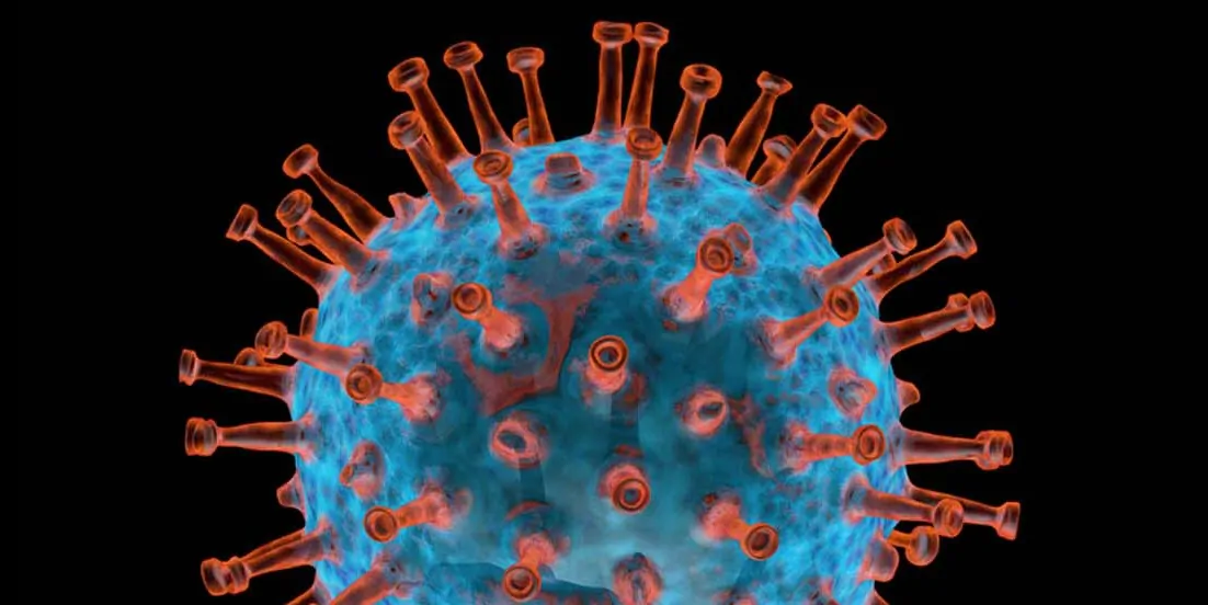 Illustration of the Nipah virus structure.