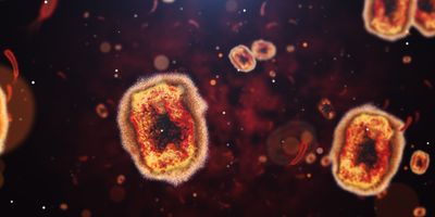 3D rendering of monkeypox virus.
