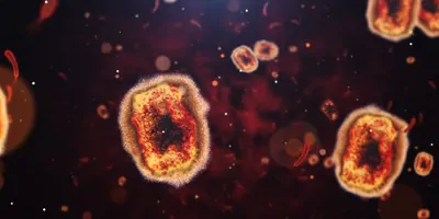 3D rendering of monkeypox virus.