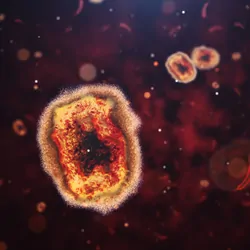 3D rendering of monkeypox virus.