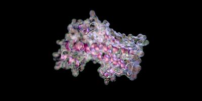 3D rendering of a quaternary structure of protein molecule.