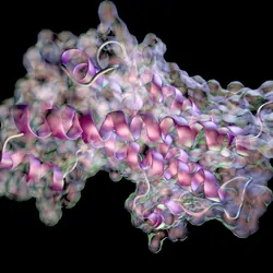 3D rendering of a quaternary structure of protein molecule.