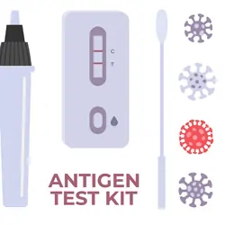 Vector illustration of a set of antigen testing kit elements like COVID-19 Testing kit, PCR, Antigen, Rapid Test.