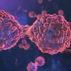 3D illustration of cancer cells dividing.