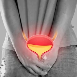 A person places both hands on the urinary bladder highlighted
