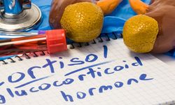 Blood Test tube & scientists' notes