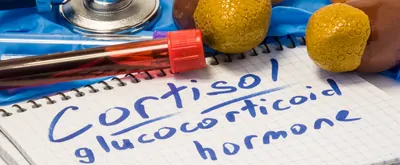 Blood test tubes and scientists' notes