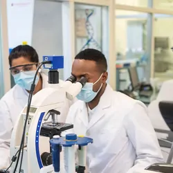 Photo of three clinical laboratory scientists wearing PPE examining clinical pathology samples under a microscope.